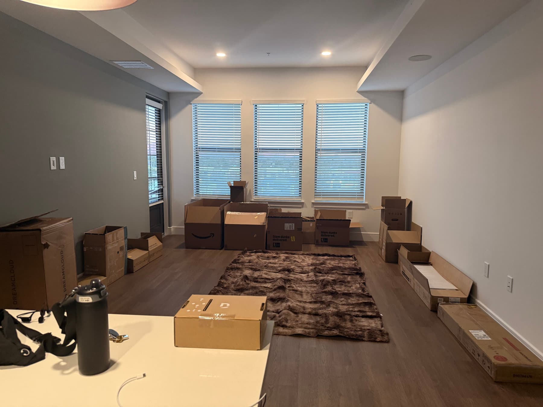 The new apartment on move-in day, boxes on the floor
